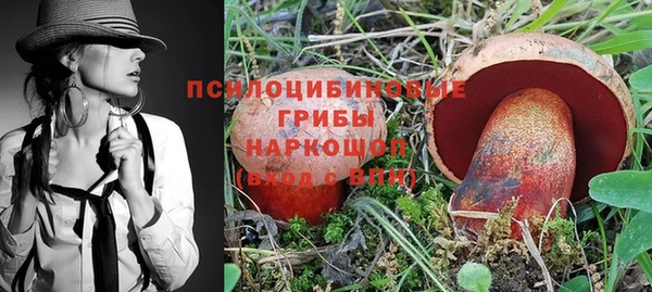 прущие крисы Беломорск