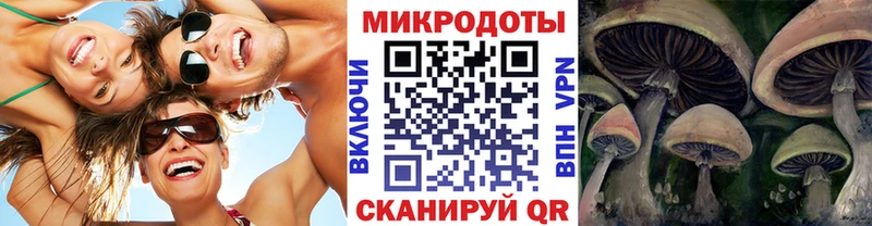 Псилоцибиновые грибы Psilocybine cubensis  Пионерский 